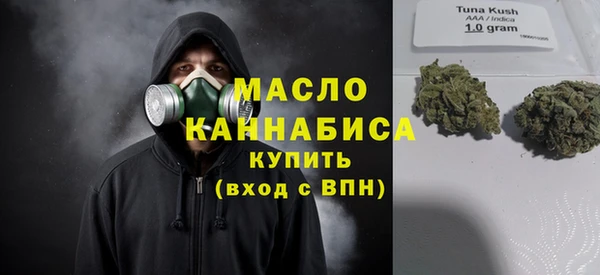 дмт Осинники