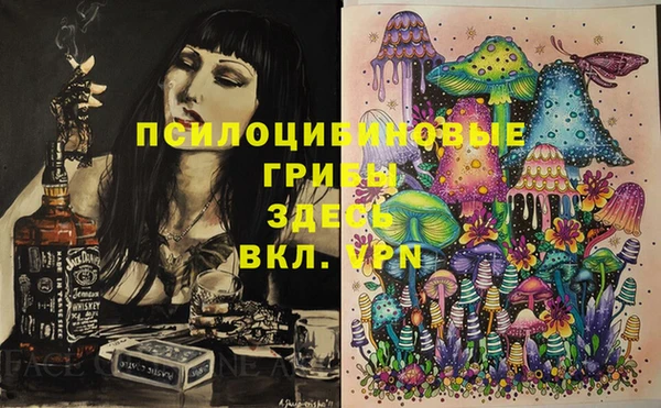 ПСИЛОЦИБИНОВЫЕ ГРИБЫ Осташков