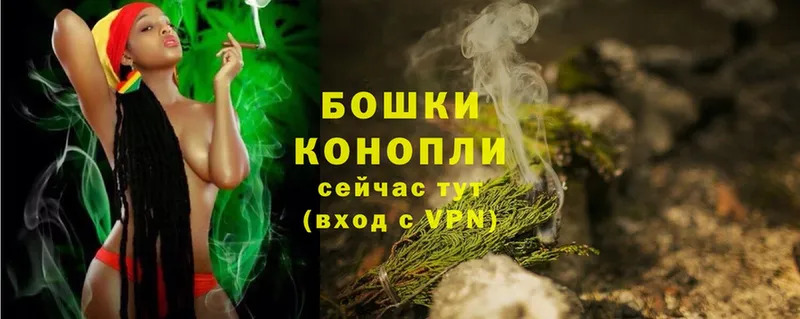 Бошки Шишки SATIVA & INDICA  купить закладку  Краснослободск 